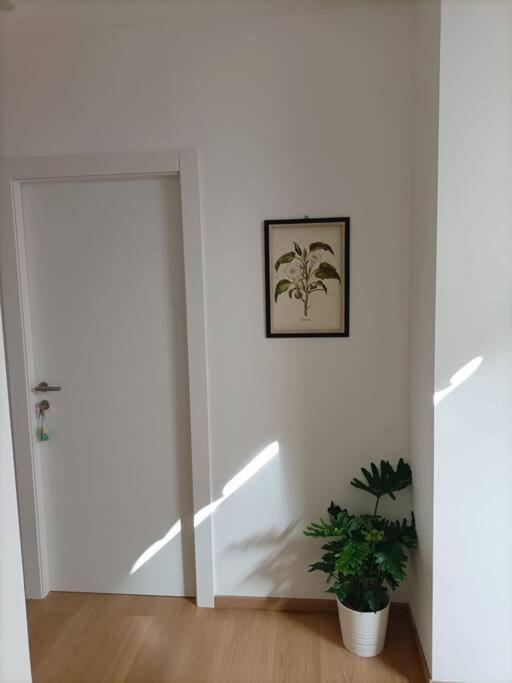 Loving My Rooms 1 - Deliziosa Mansarda In Centro Gorizia Exterior photo